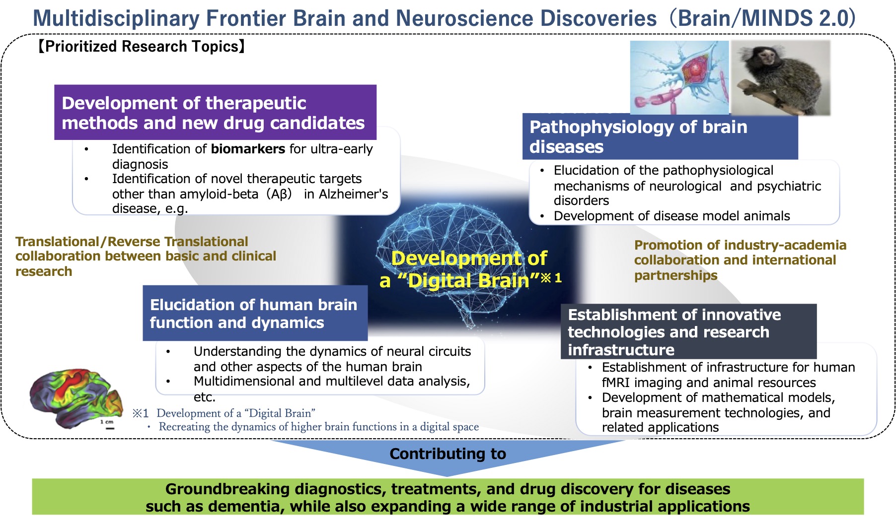 Brain/MINDS2.0